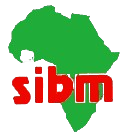 SIBM